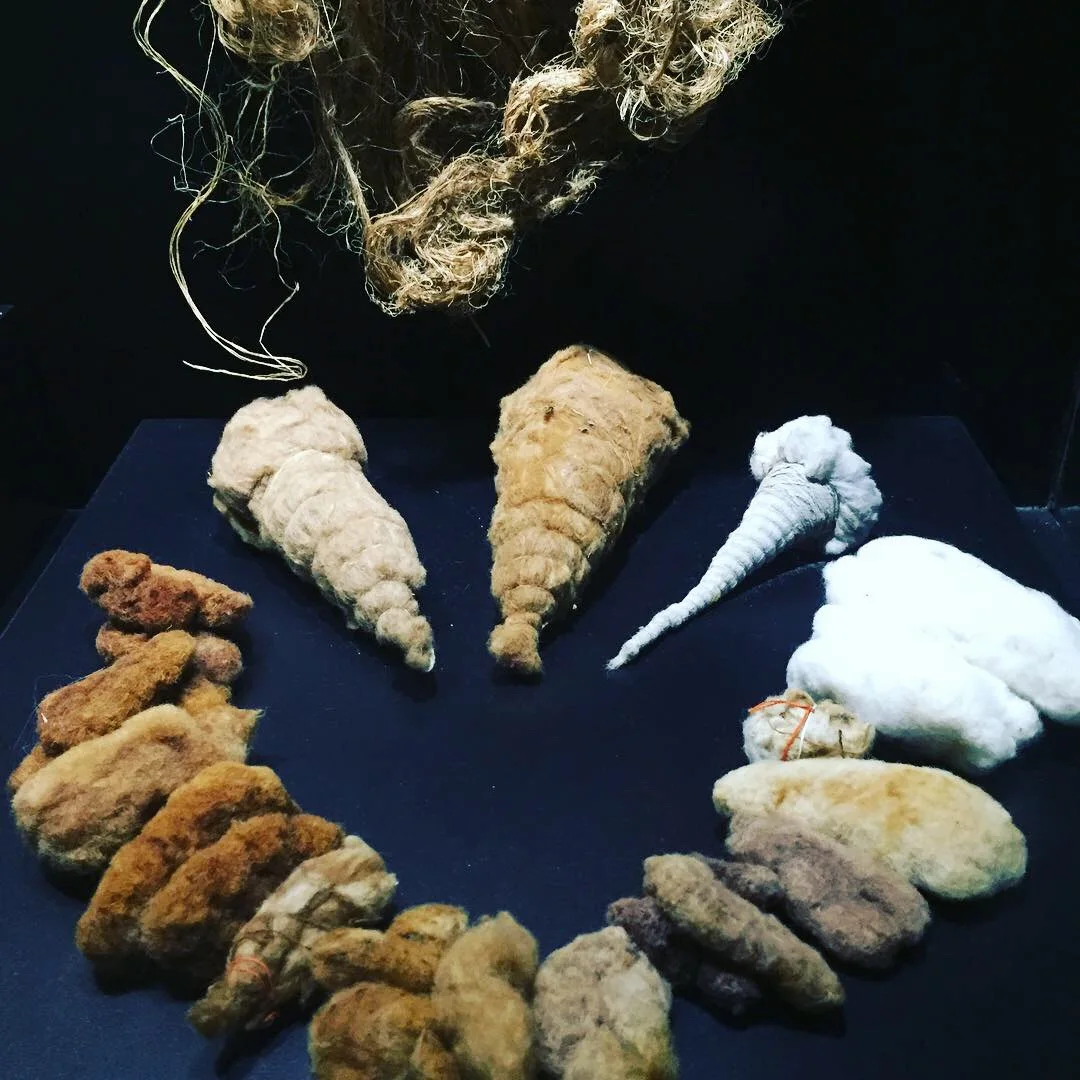 Muestras de algodón en diferentes tonalidades exhibidas en el Museo Amano, Lima